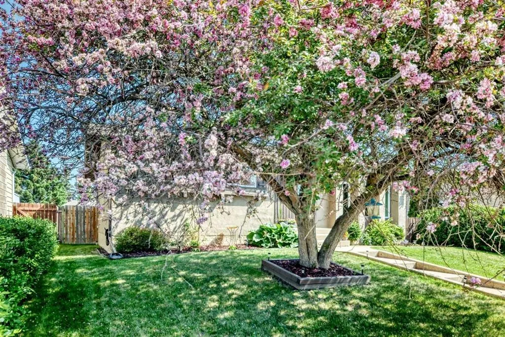 8 Haliburton Crescent